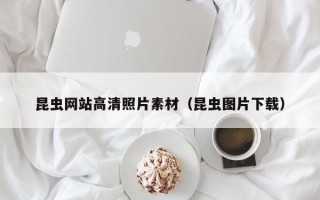 贵港昆虫网站高清照片素材（昆虫图片下载）